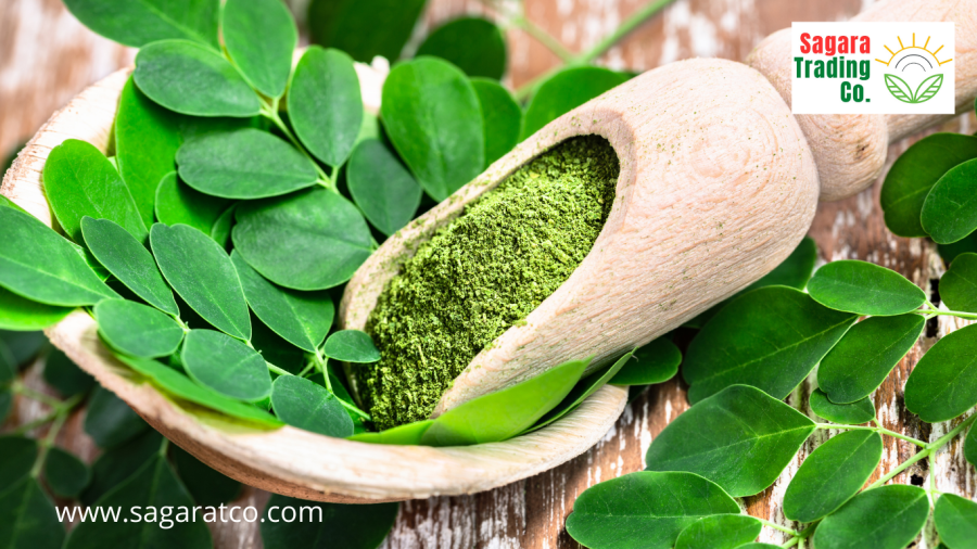 indonesian moringa powder